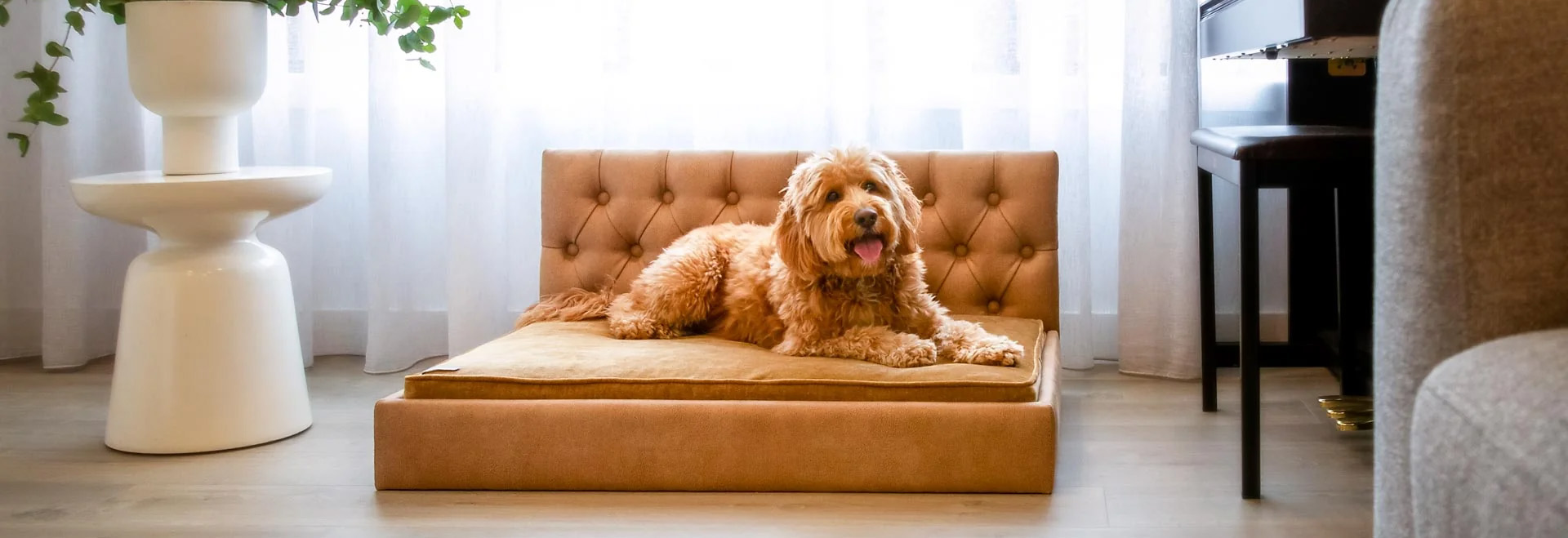 Chic Pet Supplies -Chic Pet Supplies 1