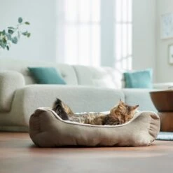 Frisco Rectangular Bolster Cat & Dog Bed 9 Frisco Rectangular Bolster Cat & Dog Bed -Chic Pet Supplies 113275 PT2. AC SS1800 V1657655271