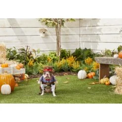 Frisco Front Walking Cowboy Dog & Cat Costume 9 Frisco Front Walking Cowboy Dog & Cat Costume -Chic Pet Supplies 158842 PT3. AC SS1800 V1567176047