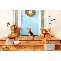 Frisco Vampire Cape Dog & Cat Costume -Chic Pet Supplies 160793 PT3. AC SS1800 V1567176564