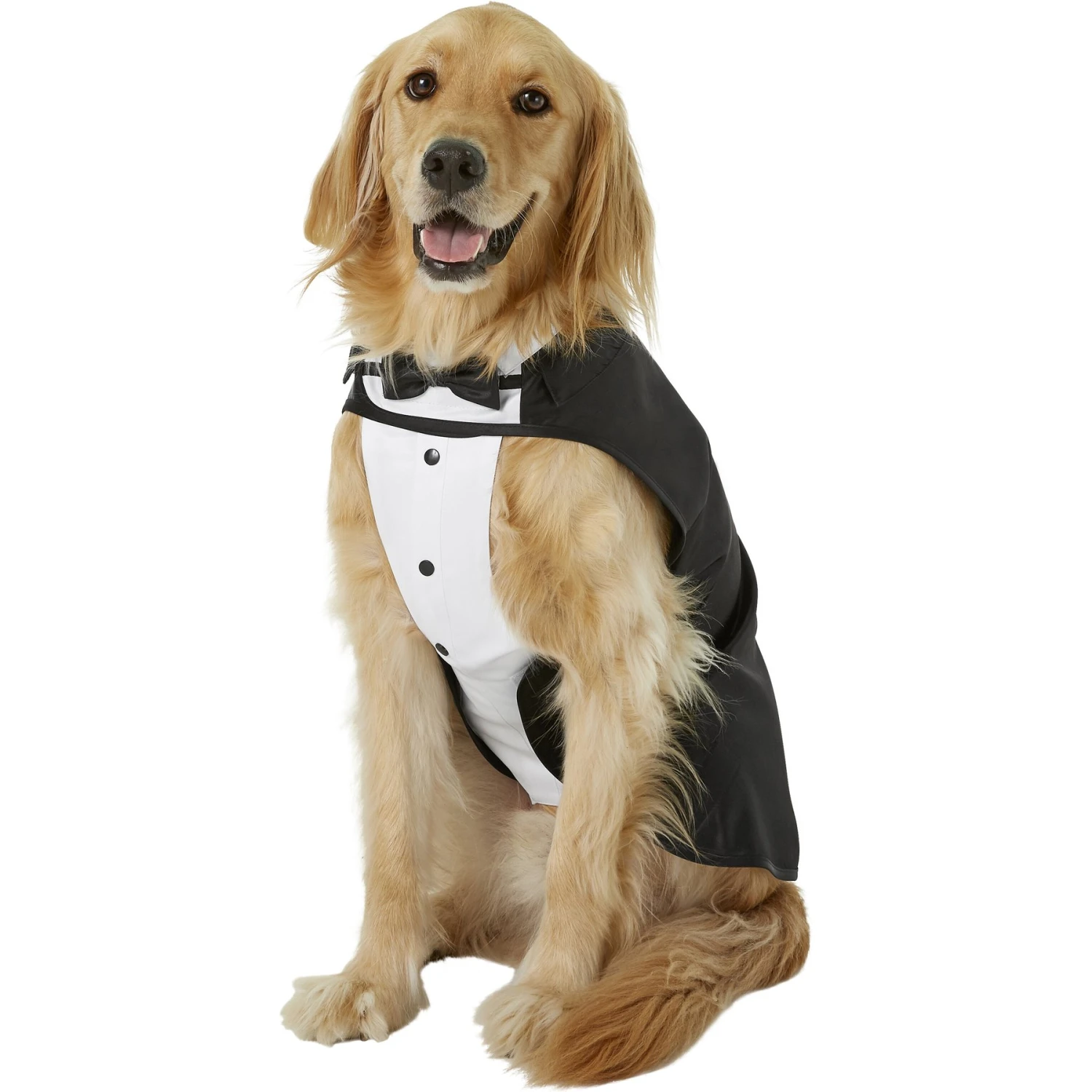 Frisco Formal Dog & Cat Tuxedo, Black 1 Frisco Formal Dog & Cat Tuxedo, Black
