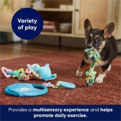 Frisco Little Friends Plush, Flyer & TPR Variety Pack Dog Toy -Chic Pet Supplies 177816 PT5. AC SS1800 V1691783909
