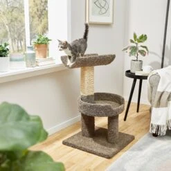 Frisco 30-in Real Carpet Wooden Cat Tree
