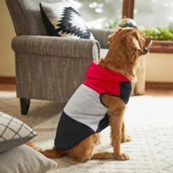 Frisco Colorblock Dog & Cat Sleeveless Hoodie -Chic Pet Supplies 224263 PT6. AC SS1800 V1637685778