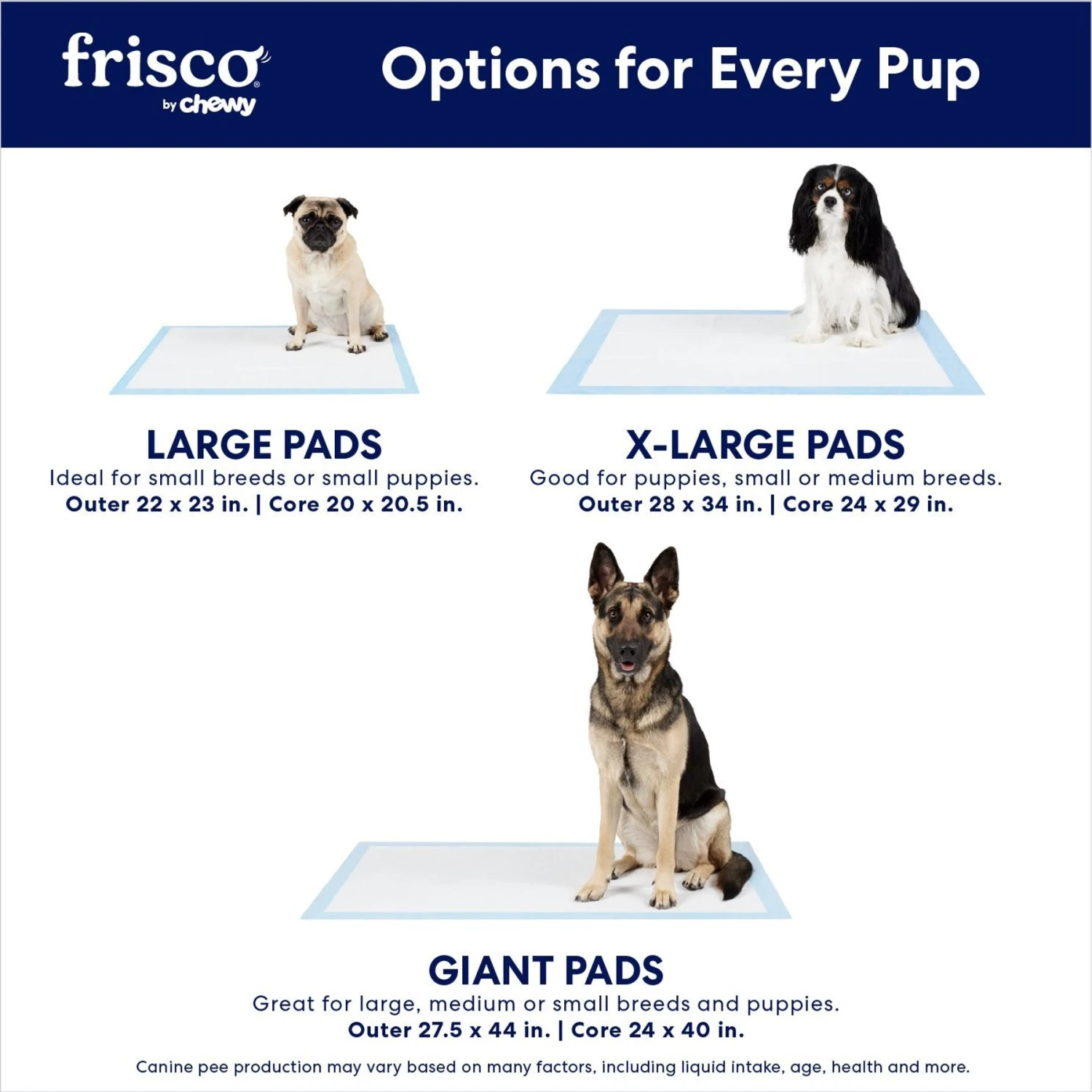 Frisco Premium Extra Large Printed Dog Training & Potty Pads 4 Frisco Premium Extra Large Printed Dog Training & Potty Pads - Image 4