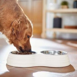Frisco Stainless Steel Double Dog Bowls With Melamine Stand -Chic Pet Supplies 232092 PT7. AC SS1800 V1693015855