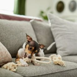 Frisco Double Knot Cotton Rope Fetch Dog Toy -Chic Pet Supplies 242155 PT2. AC SS1800 V1605208728