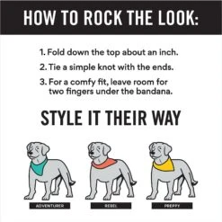 Frisco Blue Snowflakes Personalized Dog & Cat Bandana 10 Frisco Blue Snowflakes Personalized Dog & Cat Bandana -Chic Pet Supplies 242803 PT2. AC SS1800 V1618510613