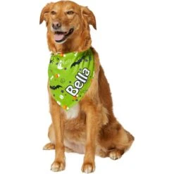 Frisco Halloween Boo! Personalized Dog & Cat Bandana 14 Frisco Halloween Boo! Personalized Dog & Cat Bandana -Chic Pet Supplies 244583 PT6. AC SS1800 V1618510307