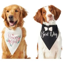 Frisco Wedding Reversible Dog & Cat Bandana -Chic Pet Supplies 248712 PT2. AC SS1800 V1632429387