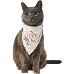 Frisco Wedding Reversible Dog & Cat Bandana -Chic Pet Supplies 248712 PT3. AC SS1800 V1632431176