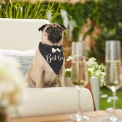 Frisco Wedding Reversible Dog & Cat Bandana -Chic Pet Supplies 248712 PT5. AC SS1800 V1632432987