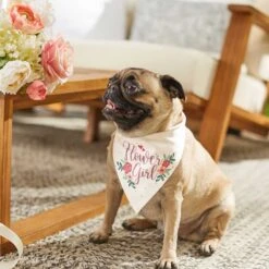 Frisco Wedding Reversible Dog & Cat Bandana -Chic Pet Supplies 248712 PT6. AC SS1800 V1632430655