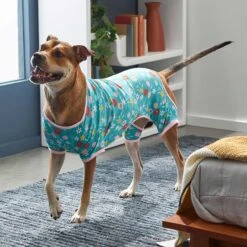 Frisco Teal Floral Dog & Cat Jersey PJs 12 Frisco Teal Floral Dog & Cat Jersey PJs -Chic Pet Supplies 249132 PT5. AC SS1800 V1637725019