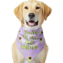 Frisco You're All I've Avo Wanted Dog & Cat Bandana 9 Frisco You're All I've Avo Wanted Dog & Cat Bandana -Chic Pet Supplies 249292 PT2. AC SS1800 V1637723806