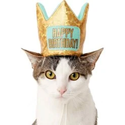 Frisco Happy Birthday Dog & Cat Crown & Frisco Dog & Cat Birthday Bandana -Chic Pet Supplies 255523 PT2. AC SS1800 V1603716120