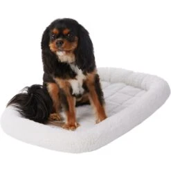 Frisco Heavy Duty Fold & Carry Single Door Collapsible Wire Dog Crate & Frisco Quilted Dog Crate Mat 9 Frisco Heavy Duty Fold & Carry Single Door Collapsible Wire Dog Crate & Frisco Quilted Dog Crate Mat -Chic Pet Supplies 255551 PT4. AC SS1800 V1604096523