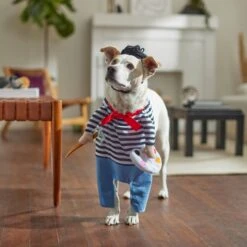Frisco Front Walking French Artist Dog & Cat Costume 15 Frisco Front Walking French Artist Dog & Cat Costume -Chic Pet Supplies 260956 PT8. AC SS1800 V1689623916