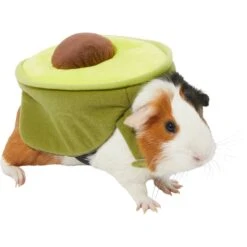 Frisco Avocado Guinea Pig Costume, One Size