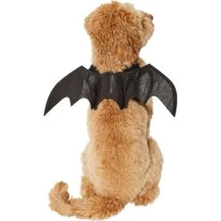 Frisco Bat Wings Dog & Cat Costume -Chic Pet Supplies 261113 PT2. AC SS1800 V1625077070