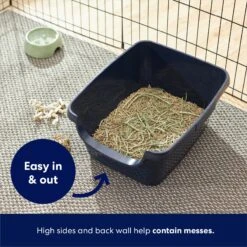 Frisco High Sided Small Pet Litter Box -Chic Pet Supplies 264925 PT2. AC SS1800 V1675279993