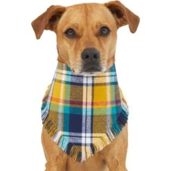Frisco Blue/Yellow Plaid Dog & Cat Flannel Bandana -Chic Pet Supplies 267901 PT2. AC SS1800 V1637717796