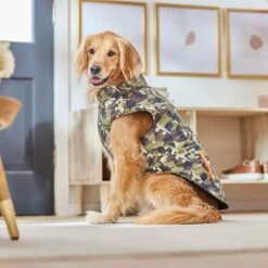 Frisco Mediumweight Camo Print Insulated Dog & Cat Zippered Coat, Green 11 Frisco Mediumweight Camo Print Insulated Dog & Cat Zippered Coat, Green -Chic Pet Supplies 268295 PT8. AC SS1800 V1629755320