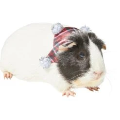Frisco Red Plaid Guinea Pig Ruffle Collar With Pom Poms