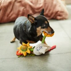 Frisco Fall Bouquet Of Flowers Plush Squeaky Dog Toy -Chic Pet Supplies 285599 PT3. AC SS1800 V1629725293