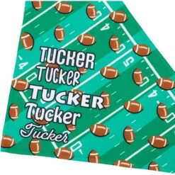 Frisco Football Personalized Dog & Cat Bandana -Chic Pet Supplies 287044 PT4. AC SS1800 V1623246178
