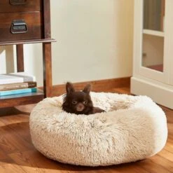 Frisco Eyelash Cat & Dog Bolster Bed & Frisco Eyelash Cat & Dog Bolster Bed 13 Frisco Eyelash Cat & Dog Bolster Bed & Frisco Eyelash Cat & Dog Bolster Bed -Chic Pet Supplies 302450 PT4. AC SS1800 V1623046356