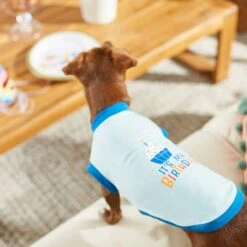 Frisco Happy Birthday Dog & Cat Crown & Frisco It's My Birthday & Cat T-Shirt -Chic Pet Supplies 302470 PT7. AC SS1800 V1623037657