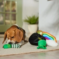 Frisco St. Patrick's Pot Of Gold Hide & Seek Puzzle Plush Squeaky Dog Toy -Chic Pet Supplies 303130 PT4. AC SS1800 V1700163009