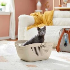 Frisco Top Loading Cat Kennel & Frisco Cactus Cat Scratching Post -Chic Pet Supplies 303648 PT4. AC SS1800 V1623053540