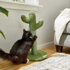 Frisco Top Loading Cat Kennel & Frisco Cactus Cat Scratching Post -Chic Pet Supplies 303648 PT7. AC SS1800 V1623057742