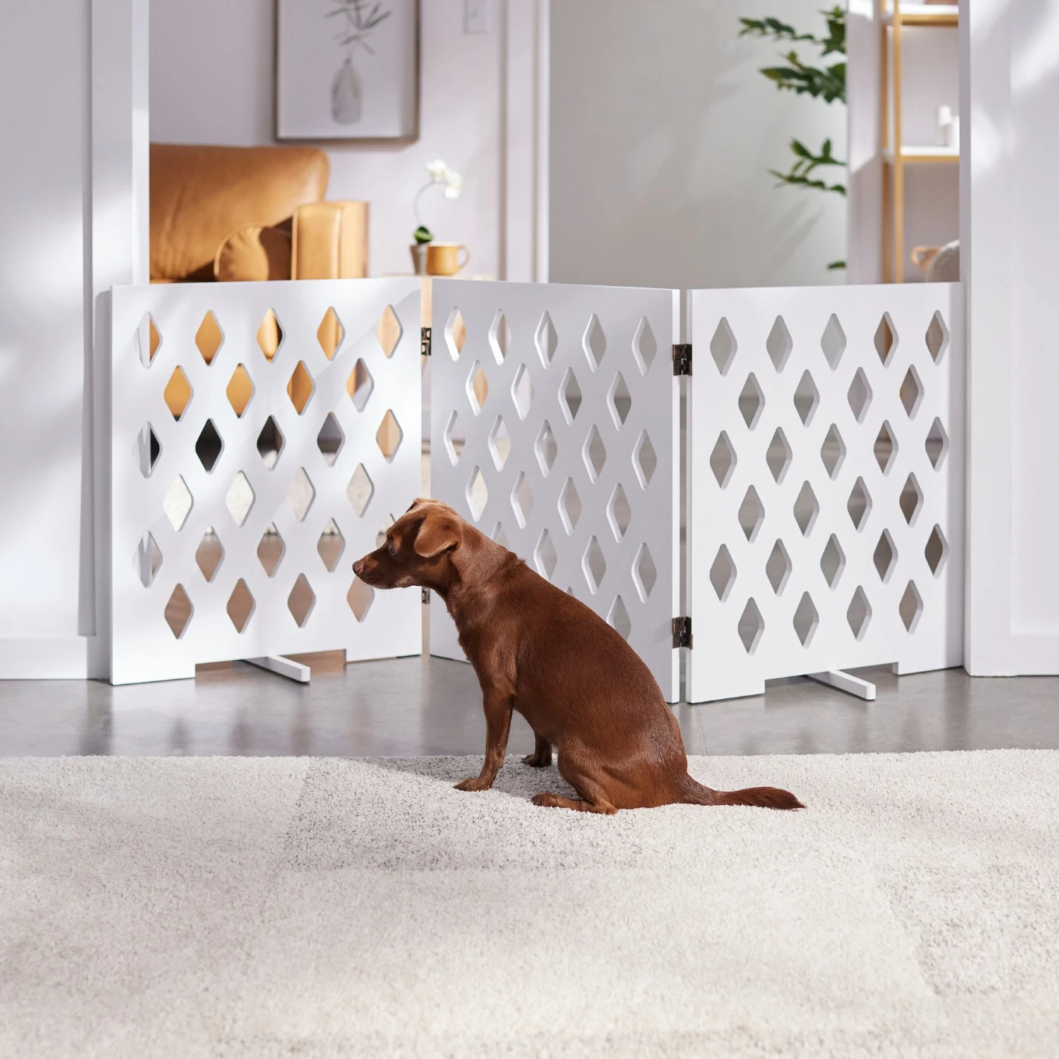 Frisco Deco Diamond Shape 3-Panel Dog Gate 1 Frisco Deco Diamond Shape 3-Panel Dog Gate
