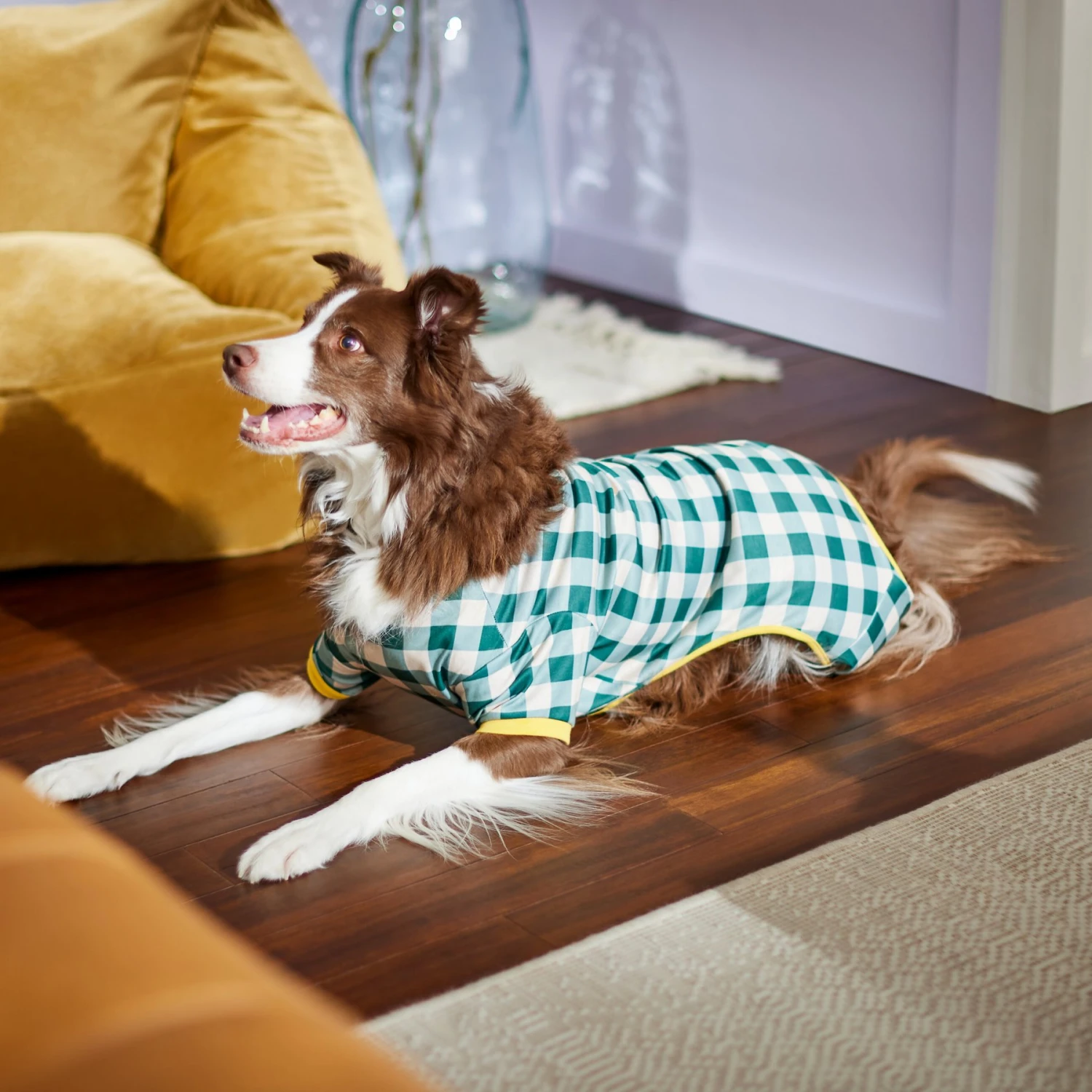 Frisco Boho Gingham Dog & Cat PJs 6 Frisco Boho Gingham Dog & Cat PJs - Image 6