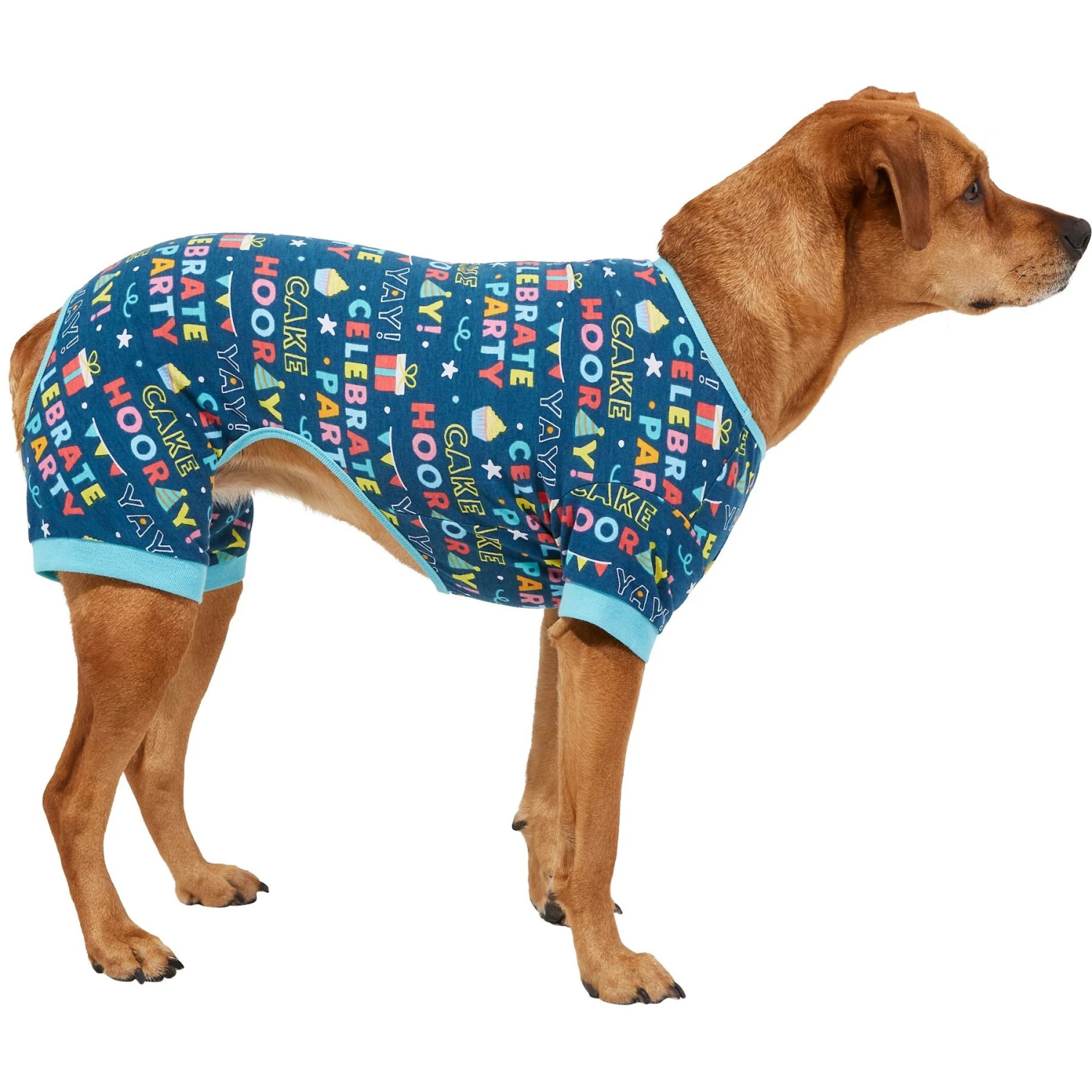 Frisco Celebration Dog & Cat PJs 1 Frisco Celebration Dog & Cat PJs