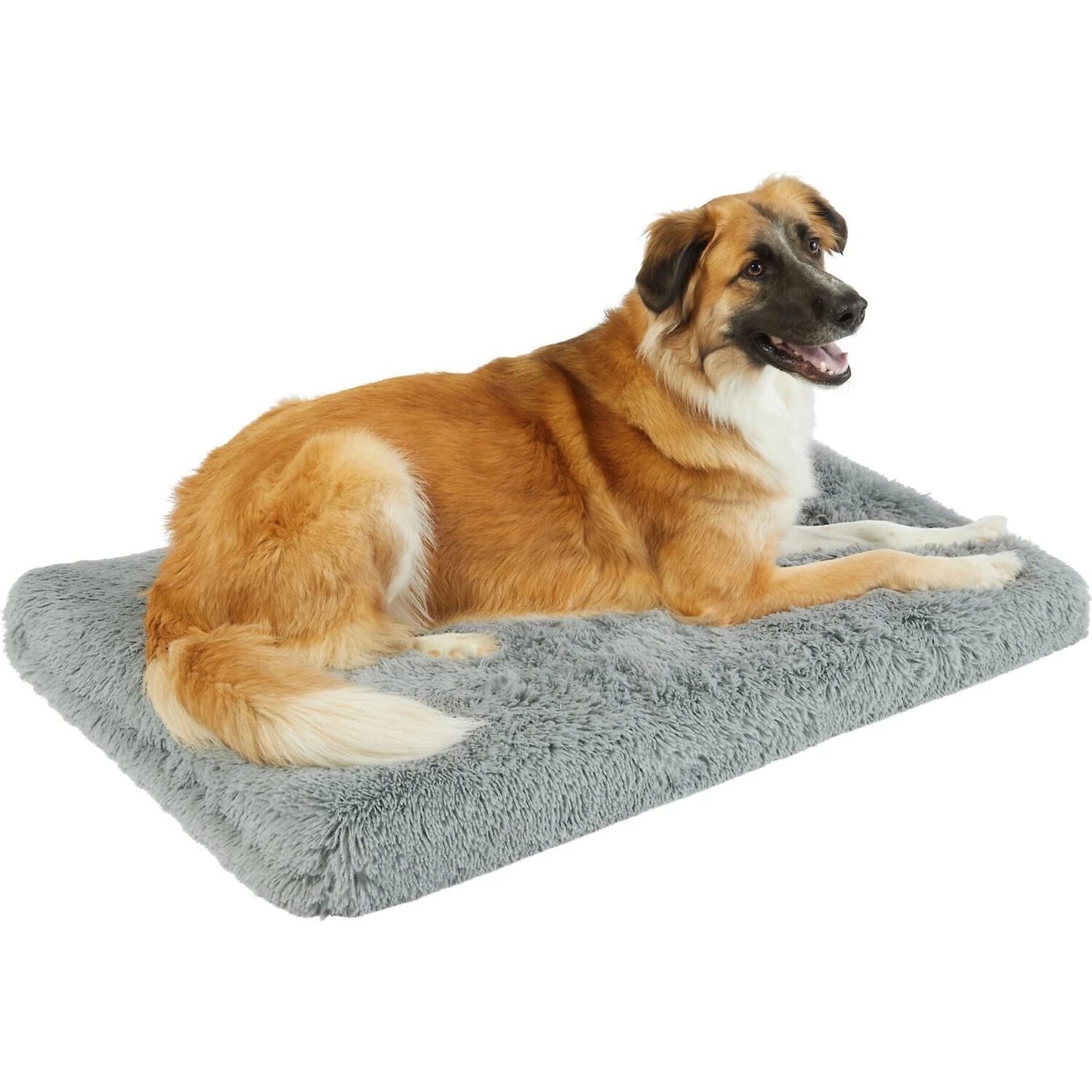 Frisco Eyelash Orthopedic Dog Crate Mat & Frisco Fold & Carry Single Door Collapsible Wire Dog Crate 2 Frisco Eyelash Orthopedic Dog Crate Mat & Frisco Fold & Carry Single Door Collapsible Wire Dog Crate - Image 2