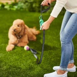 Frisco Traffic Leash With Padded Handles & Poop Bag Dispenser & Frisco Refill Dog Poop Bags Made With 50% Recycled Packaging -Chic Pet Supplies 319512 PT8. AC SS1800 V1683212087