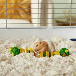 Frisco Caterpillar Small Pet Chew Toy 6 Frisco Caterpillar Small Pet Chew Toy -Chic Pet Supplies 330865 PT2. AC SS1800 V1659546414