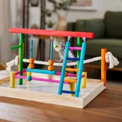 Frisco Color Me Wild Bird Playground -Chic Pet Supplies 331704 PT4. AC SS1800 V1660703306