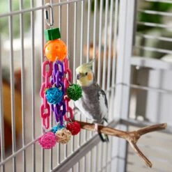 Frisco Entertainment Bundle Bird Toy -Chic Pet Supplies 331747 PT3. AC SS1800 V1660703304