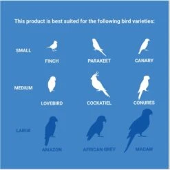 Frisco Entertainment Bundle Bird Toy -Chic Pet Supplies 331747 PT4. AC SS1800 V1661200356