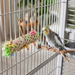 Frisco Flower Net Bird Foraging Toy -Chic Pet Supplies 331751 PT3. AC SS1800 V1660703304