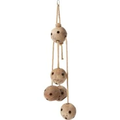 Frisco Holey-Moley Coconut Foraging Bird Toy