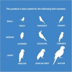 Frisco Holey-Moley Coconut Foraging Bird Toy -Chic Pet Supplies 331757 PT4. AC SS1800 V1661200356