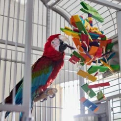 Frisco Pterodactyl Block Bird Chew Toy -Chic Pet Supplies 331777 PT3. AC SS1800 V1660703304