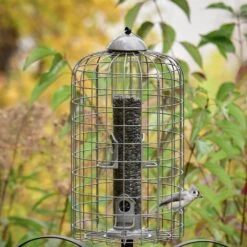 Frisco Ultra Squirrel Defense Wild Bird Feeder -Chic Pet Supplies 333281 PT3. AC SS1800 V1646665002