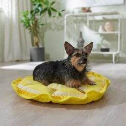 Chic Pet Supplies 23 Frisco Lemon Adjustable Cat & Dog Bolster Bed
